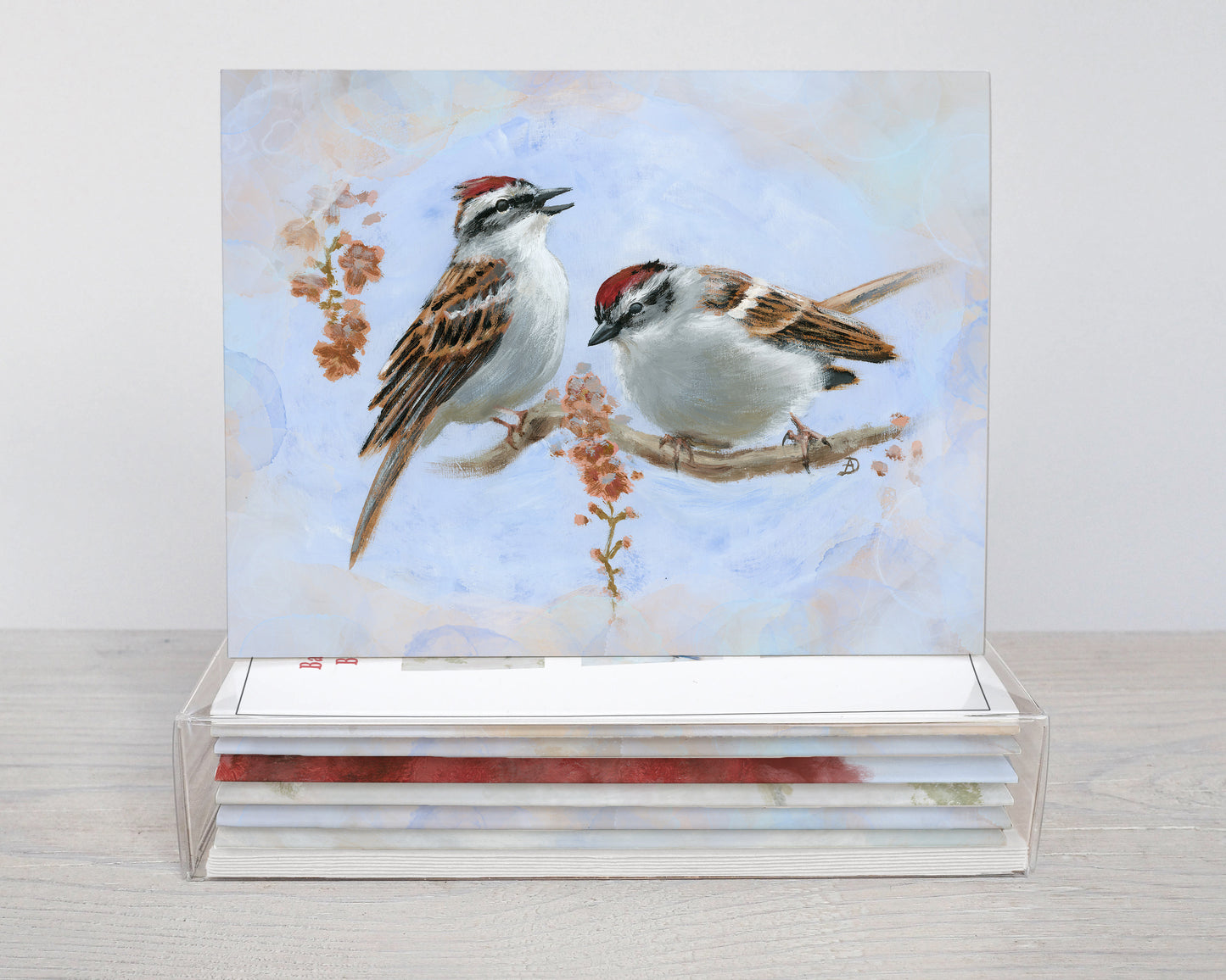 Backyard Birds Box Set (6 notecards)