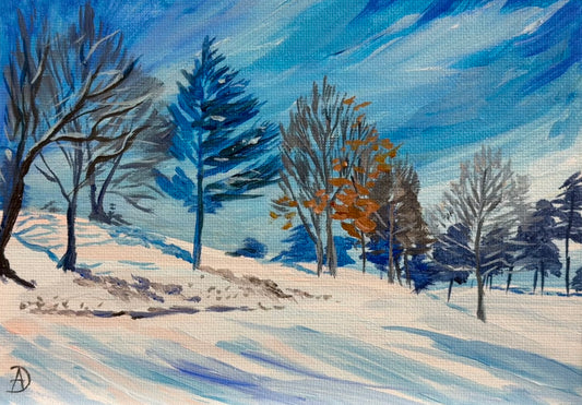 "Cross-country view" - original framed acrylic painting depicting a snowy hill and trees on a sunny day. By Andreea Dumez