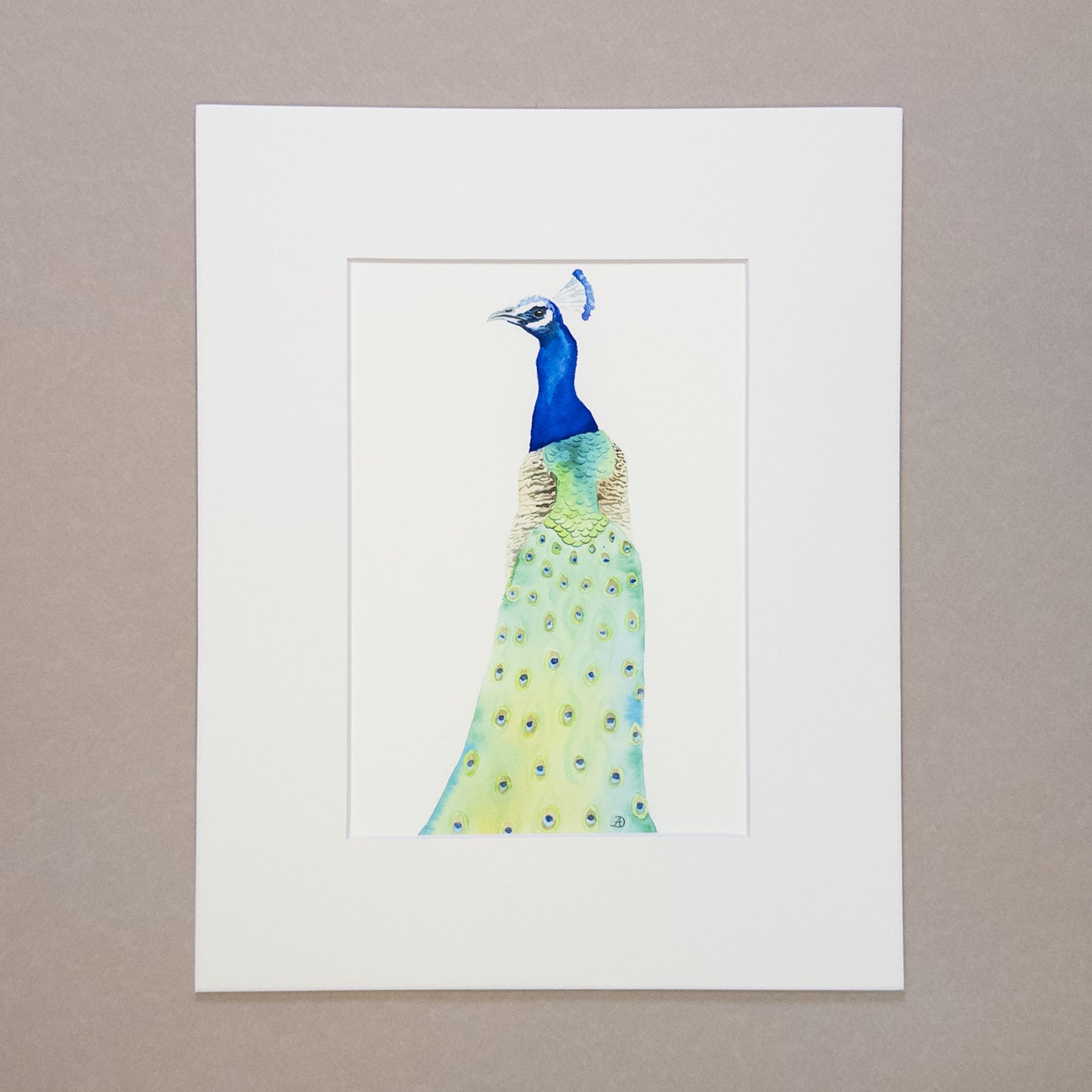 Set of Three Peacocks - Matted Art Prints