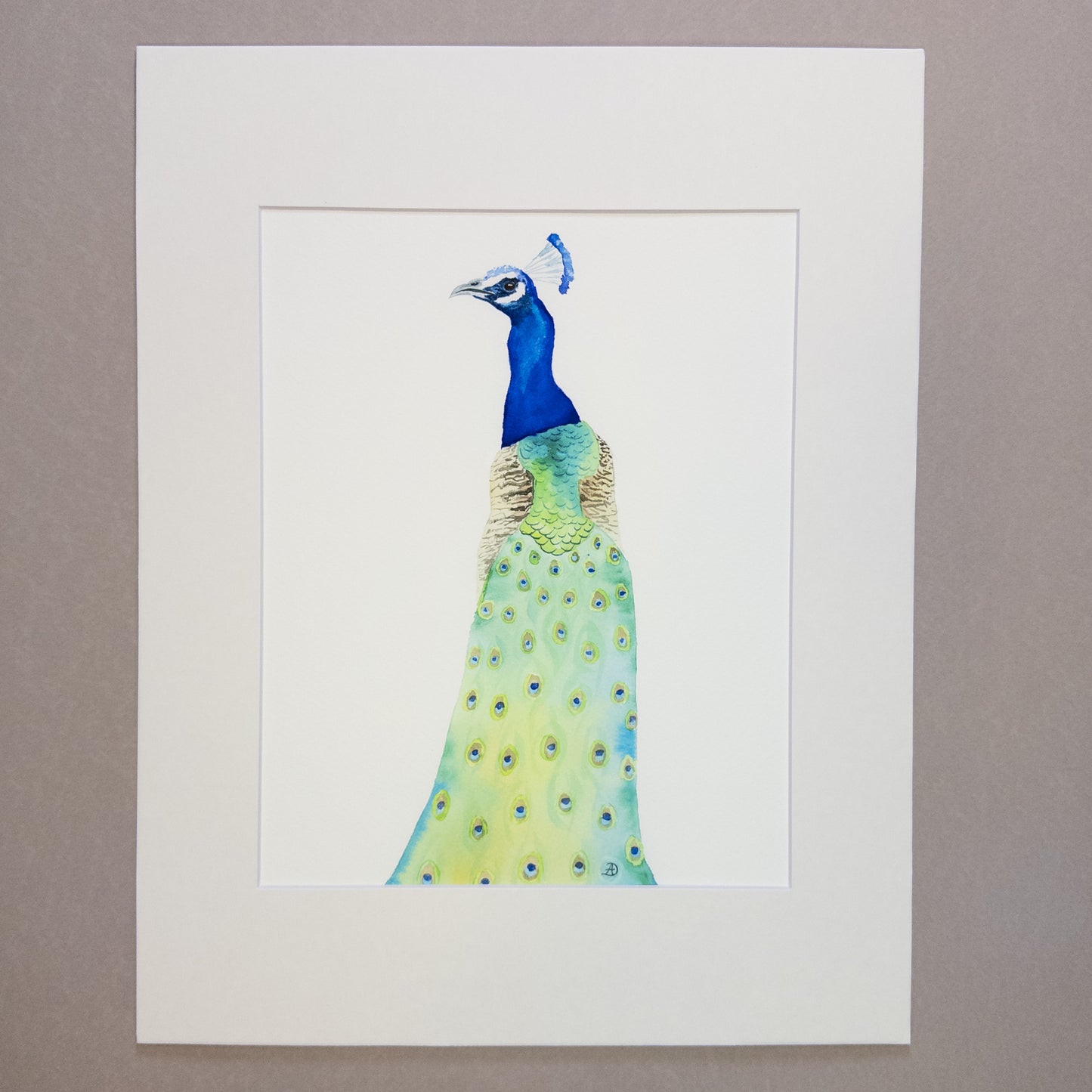 Set of Three Peacocks - Matted Art Prints