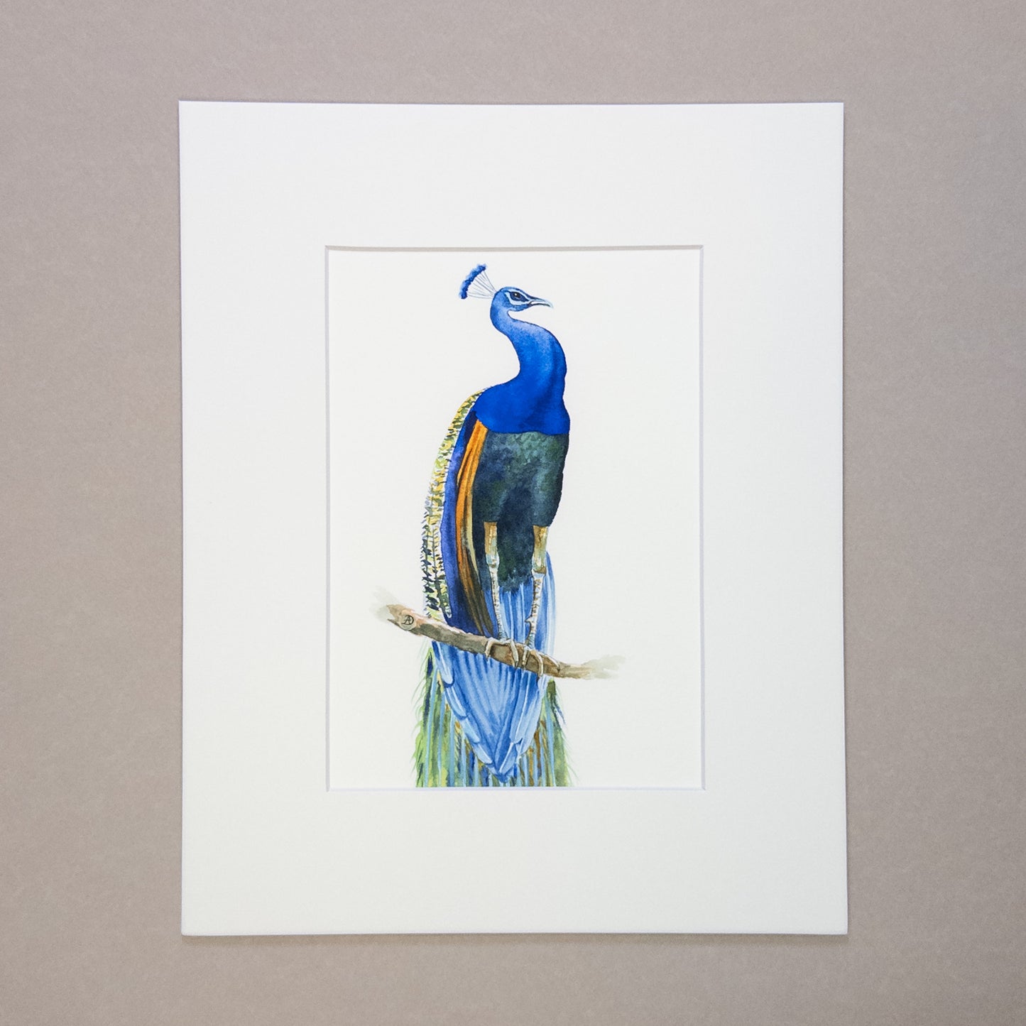 Set of Three Peacocks - Matted Art Prints