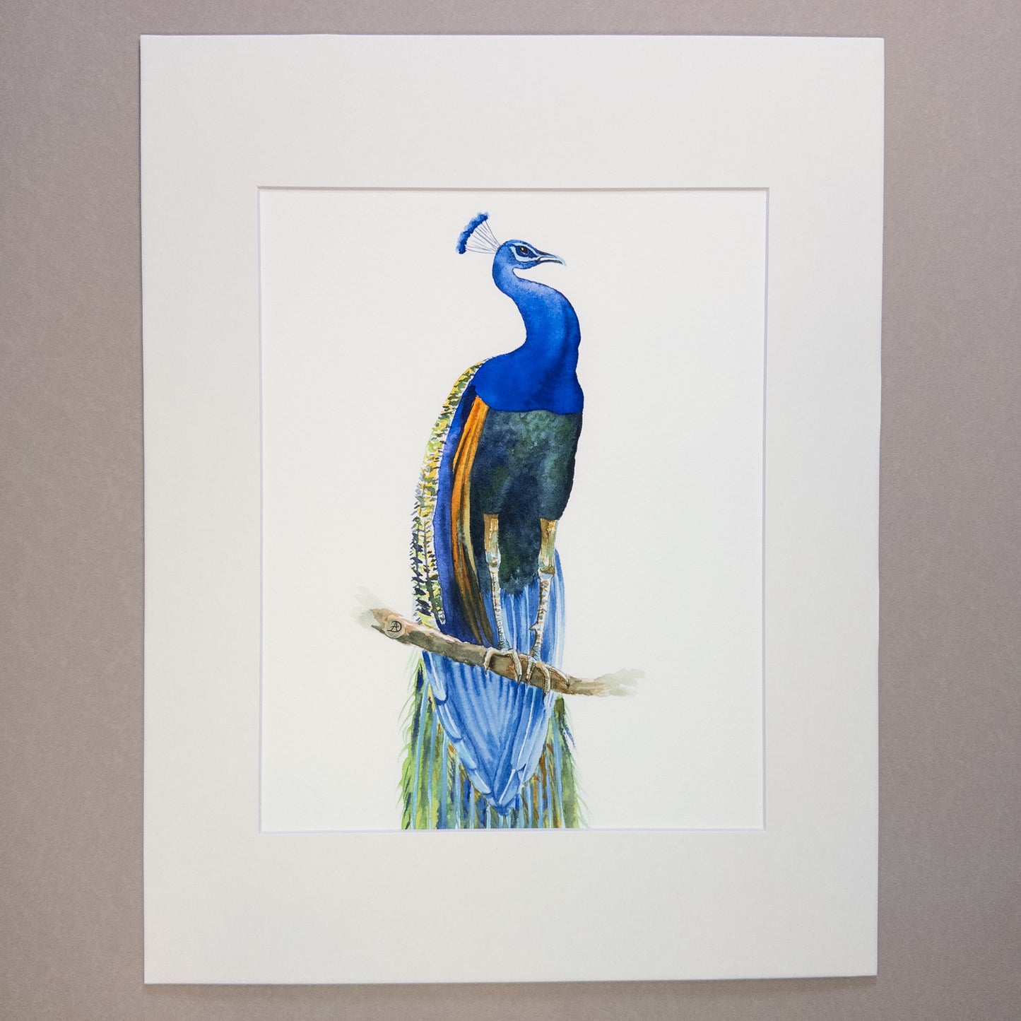 Set of Three Peacocks - Matted Art Prints
