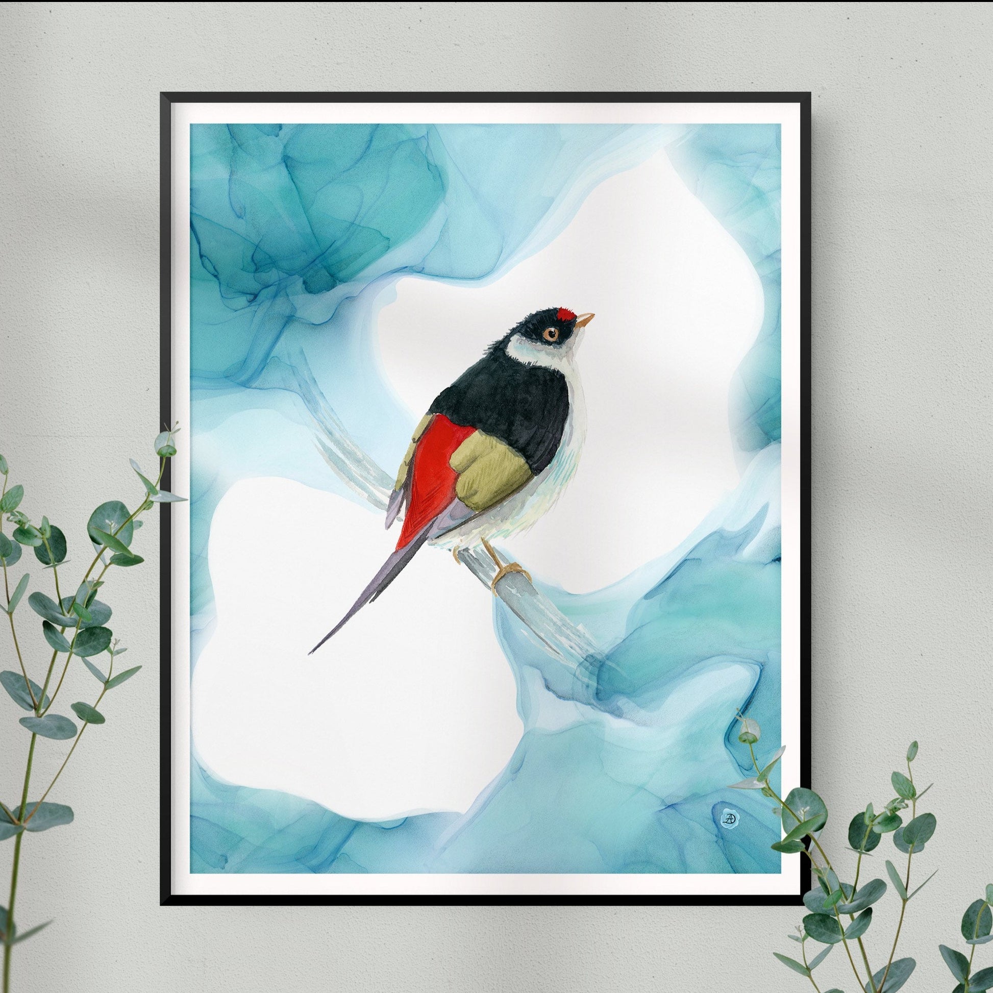 Pin-tailed manakin bird art