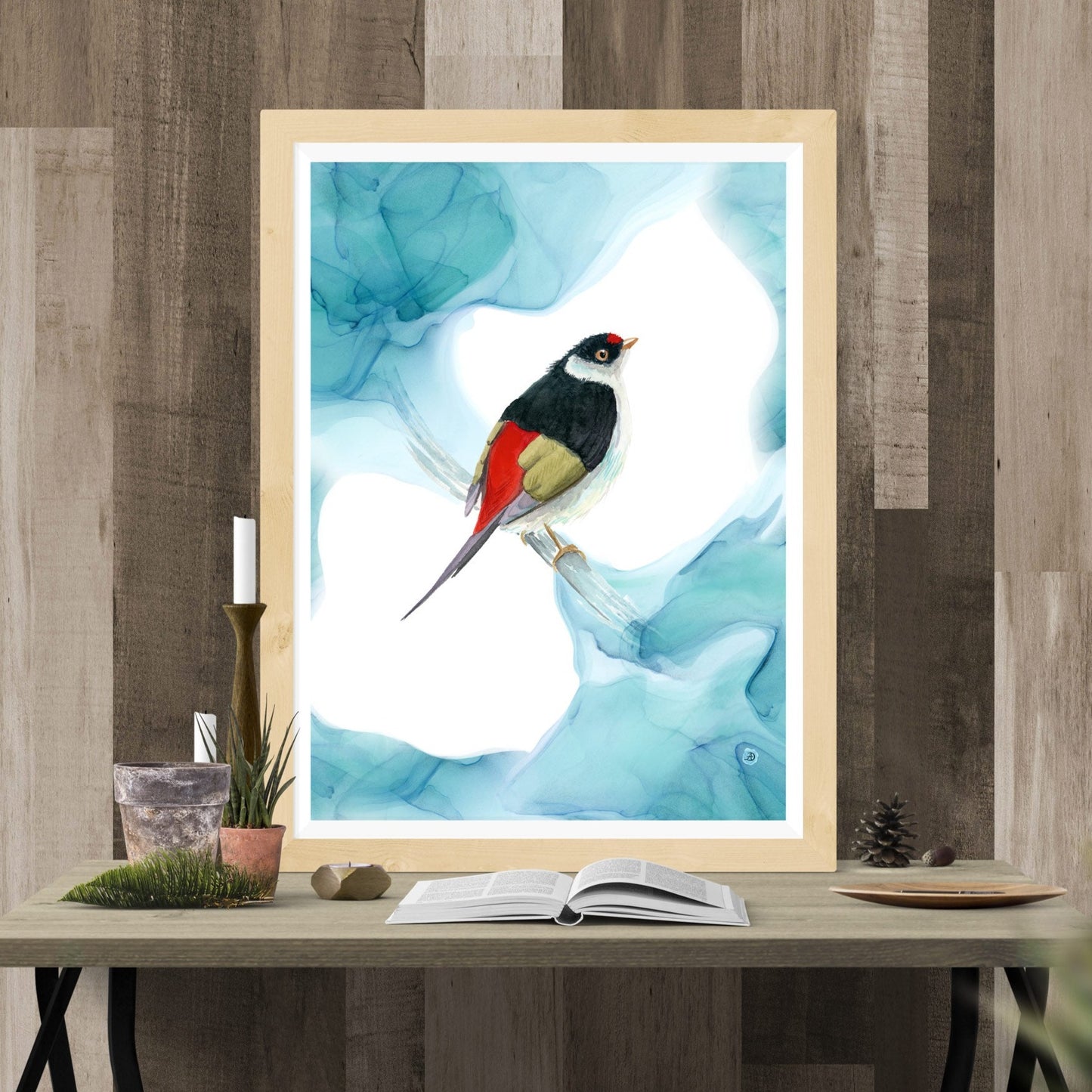 The Pin-tailed Manakin Art Print