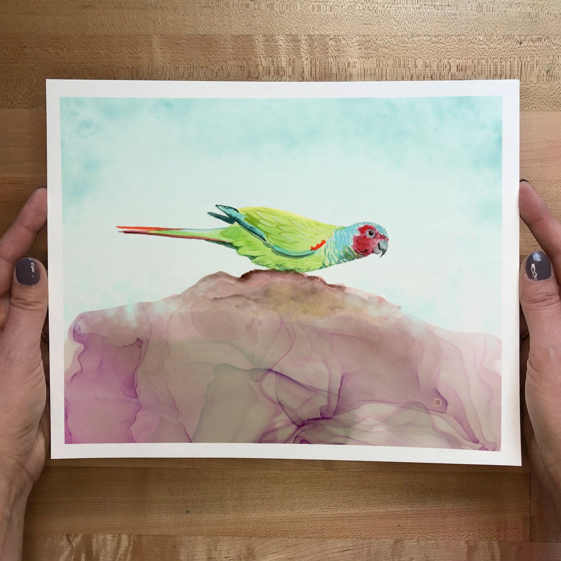 Pfrimer's Parakeet Parrot painting