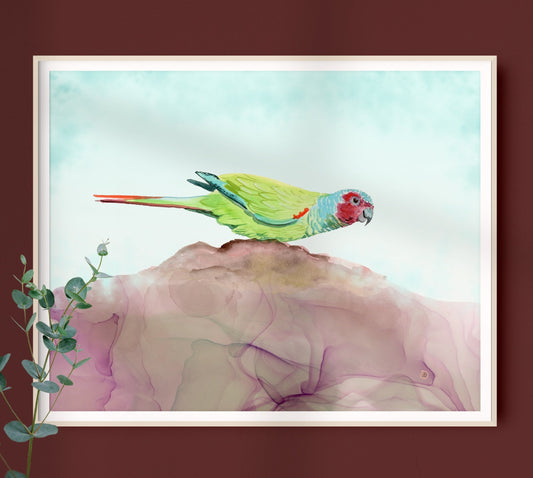 Pfrimer's Parakeet watercolor painting