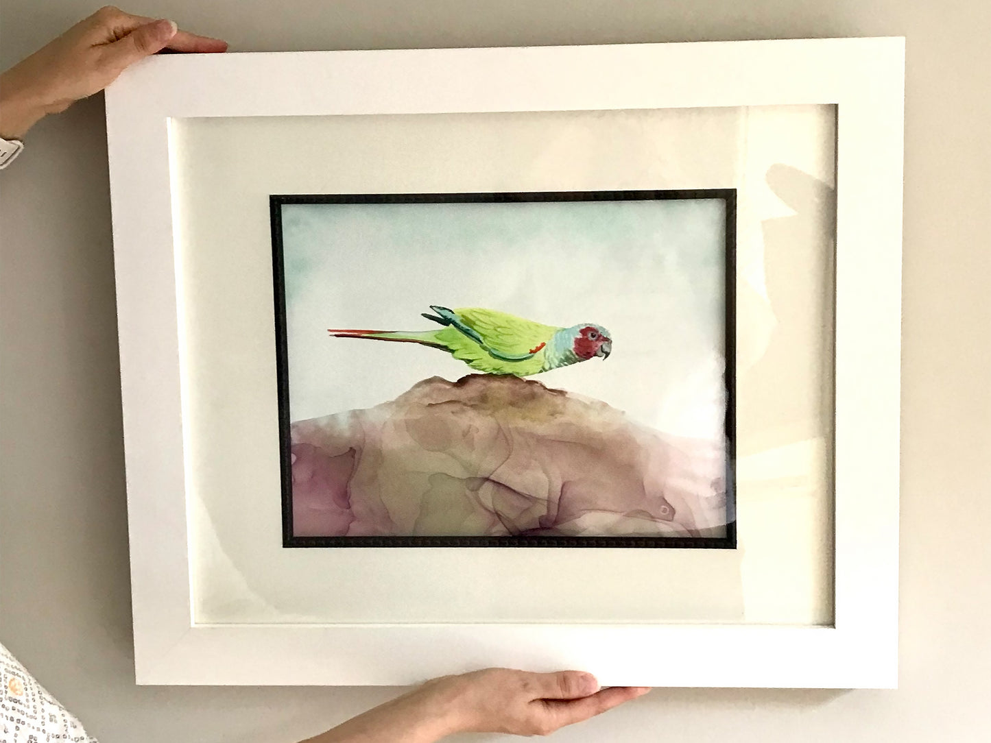 Pfrimer's Parakeet - Tropical Bird Art Print