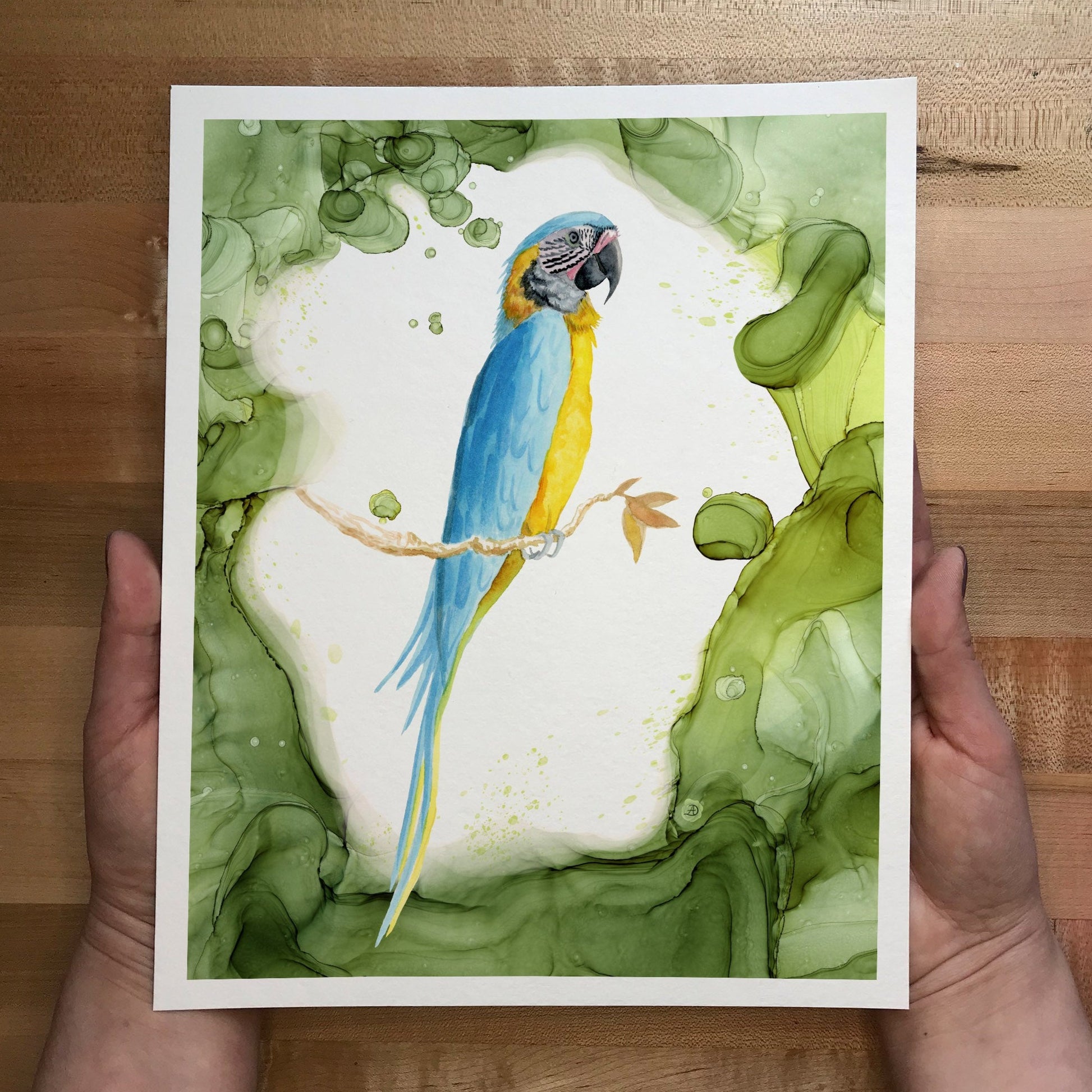 Yellow and Blue Macaw Watercolor Art Print