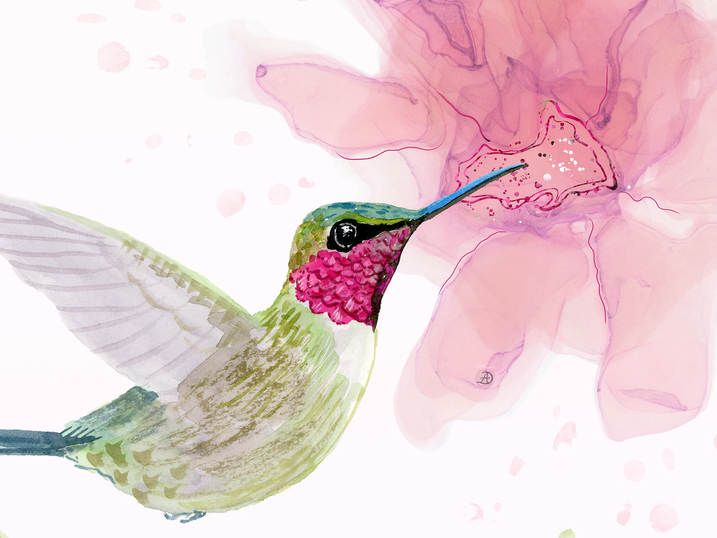 Amethyst Woodstar Hummingbird - Matted Art Print