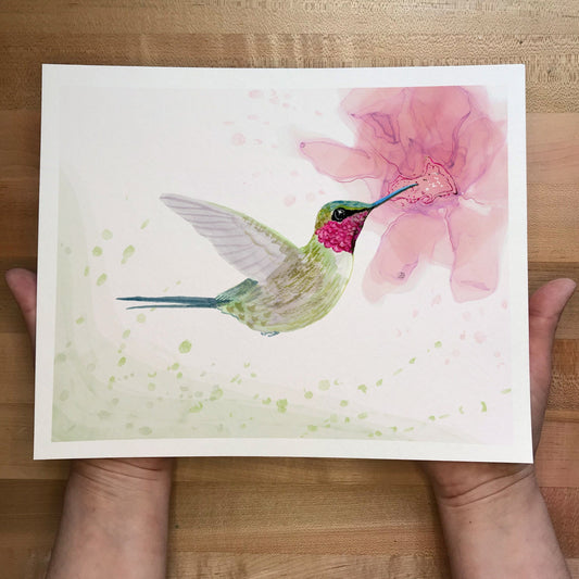Amethyst woodstar hummingbird watercolor painting by Andreea Dumez