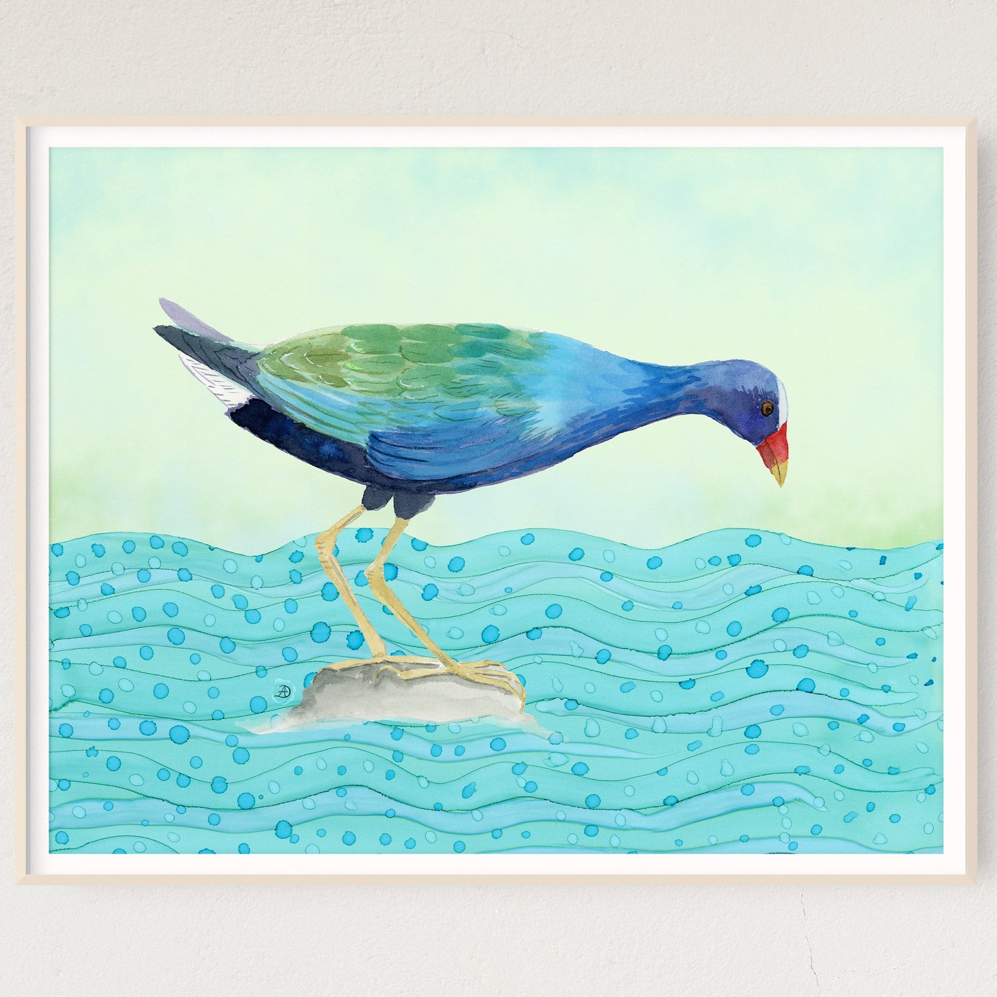 Purple Gallinule Blue Bird Art Print By Andreea Dumez