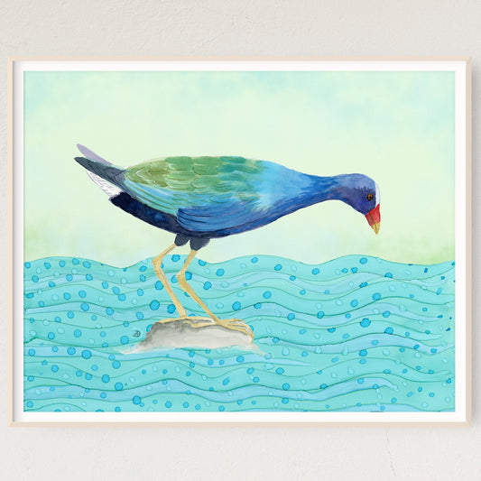 Purple Gallinule Blue Bird Art Print By Andreea Dumez