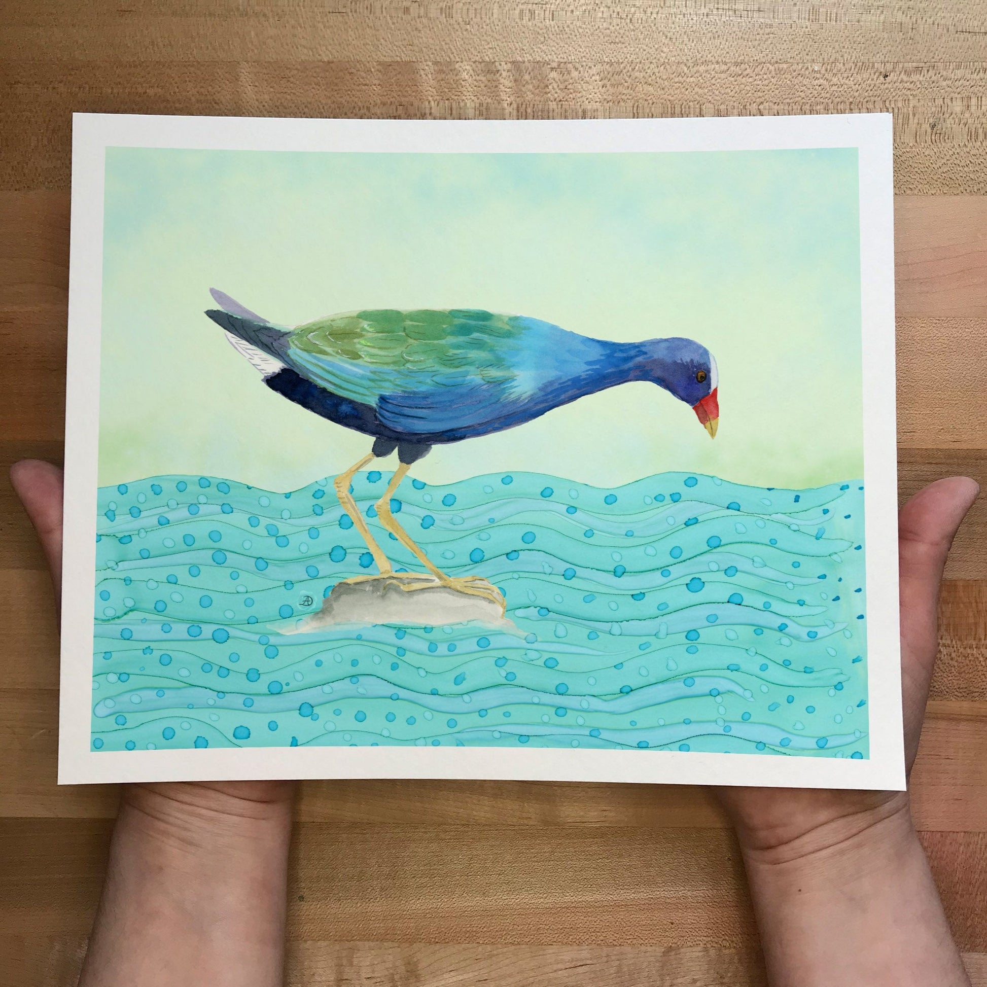 Purple Gallinule Blue Bird Art Print By Andreea Dumez