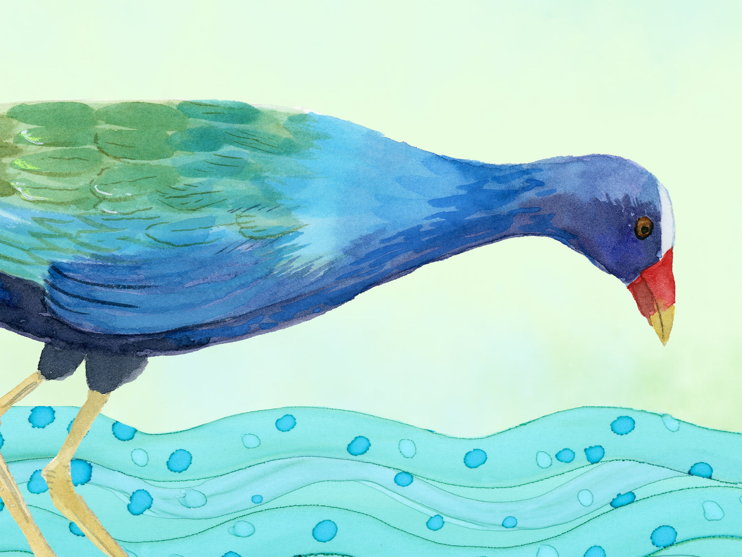 Purple Gallinule Bird Art Print