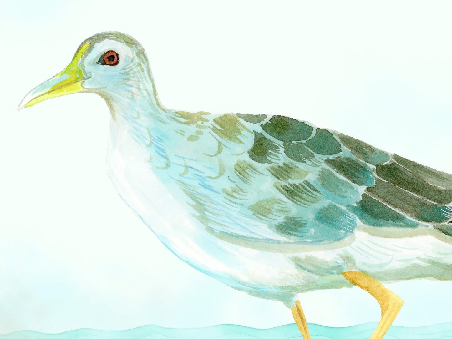Azure Gallinule - Bird Art Print