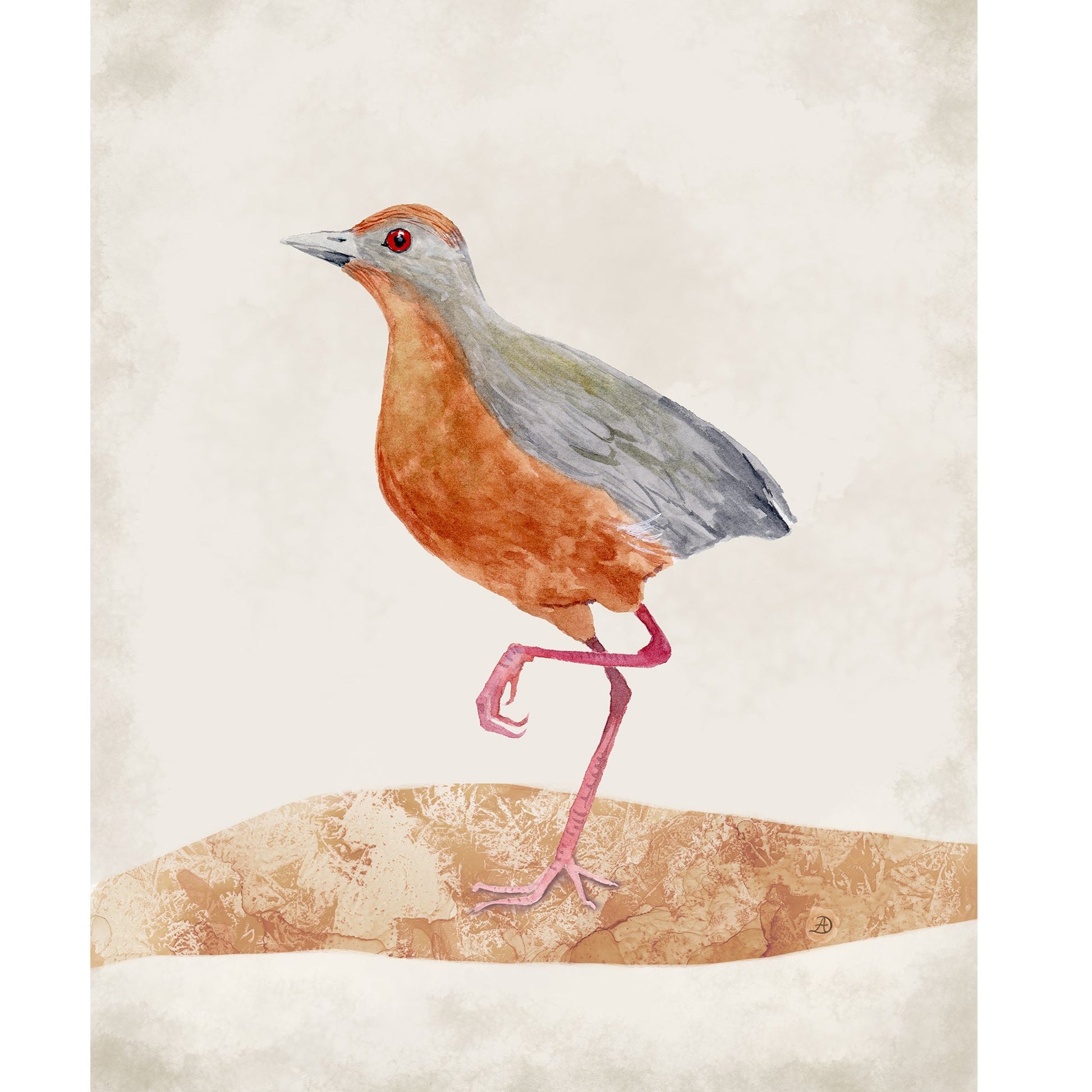 Russet Crown Crake Bird Art Print by Andreea Dumez