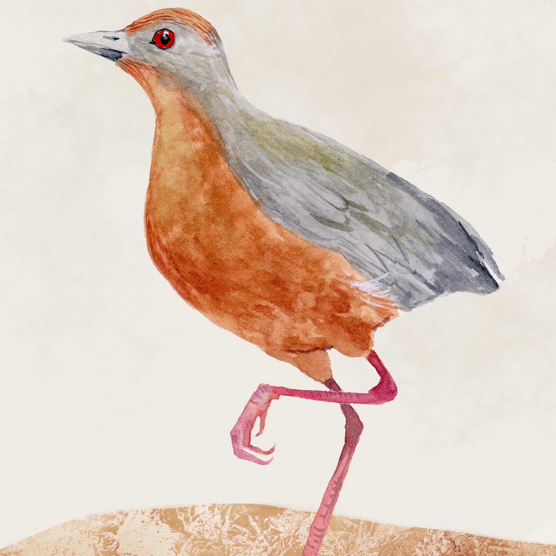 Russet Crown Crake Bird Art Print by Andreea Dumez
