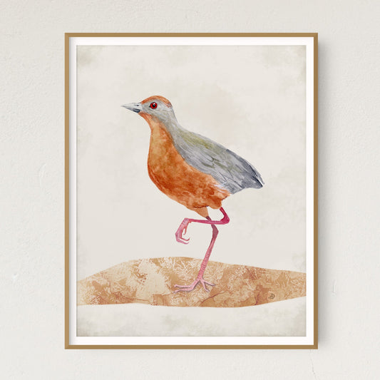 Russet Crown Crake Bird Art Print by Andreea Dumez