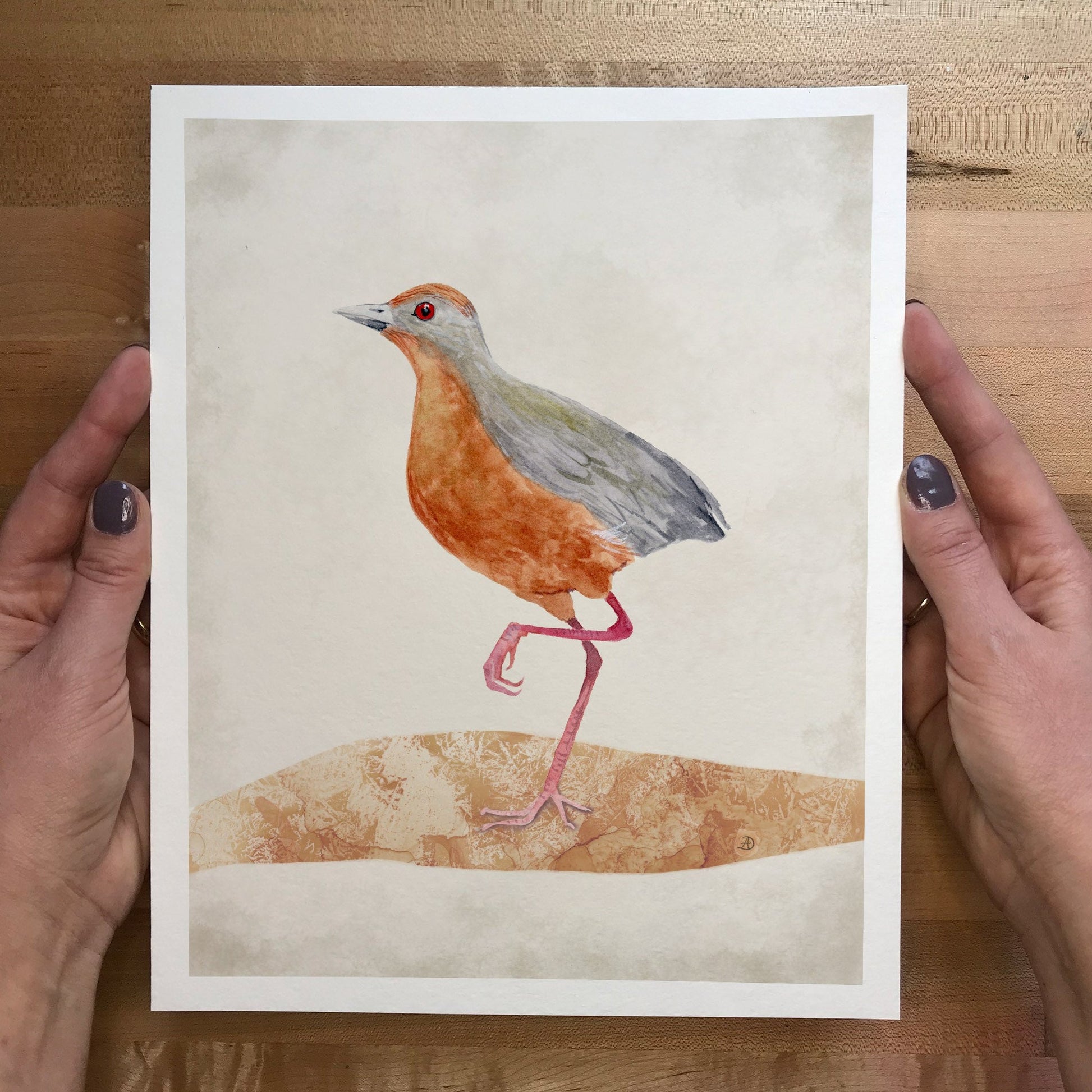 Russet Crown Crake Bird Art Print by Andreea Dumez