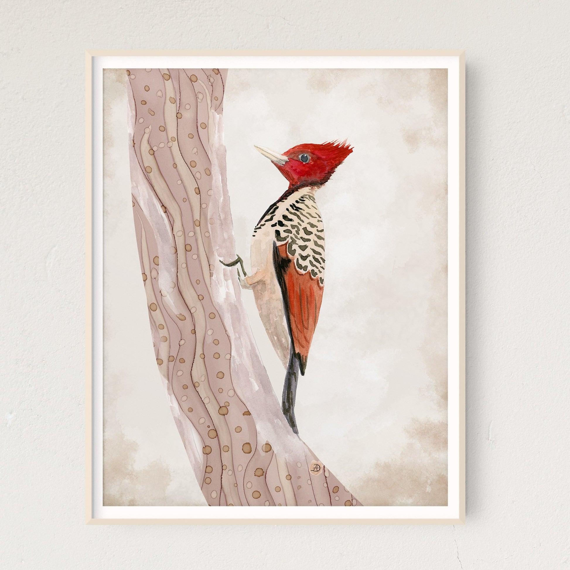 Kaempfer's Woodpecker - Giclee Art Print by Andreea Dumez