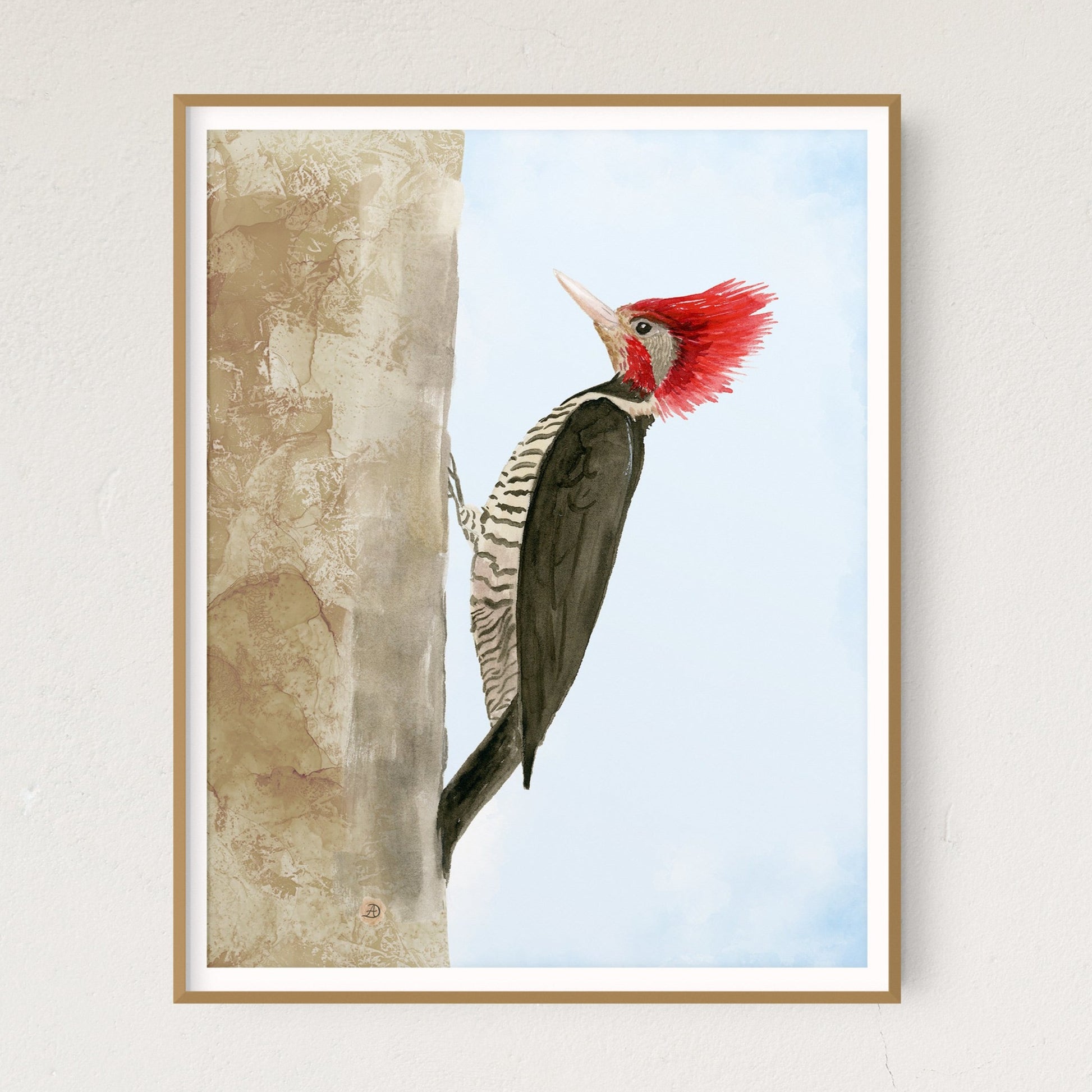 Helmeted woodpecker art print