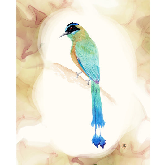 Amazonian Motmot Watercolor Art Print by Andreea Dumez