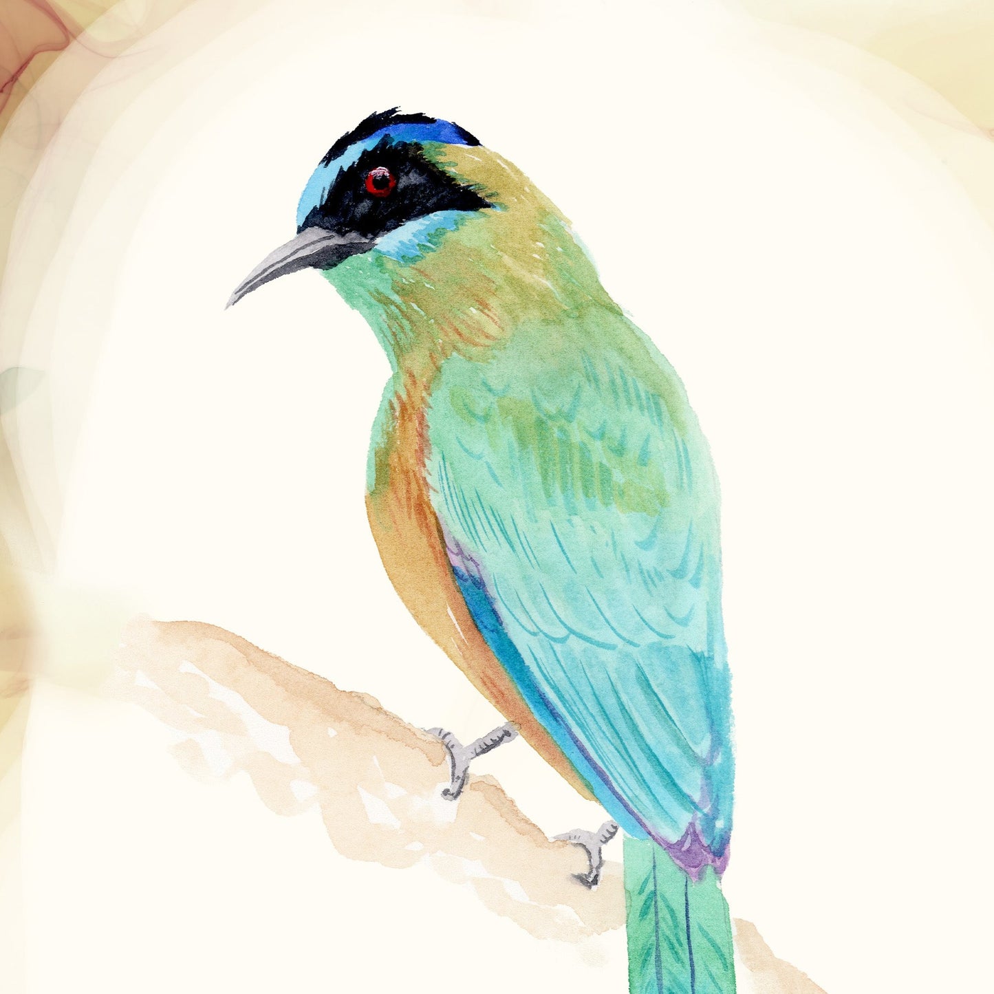 Amazonian Motmot - Tropical Bird Art Print