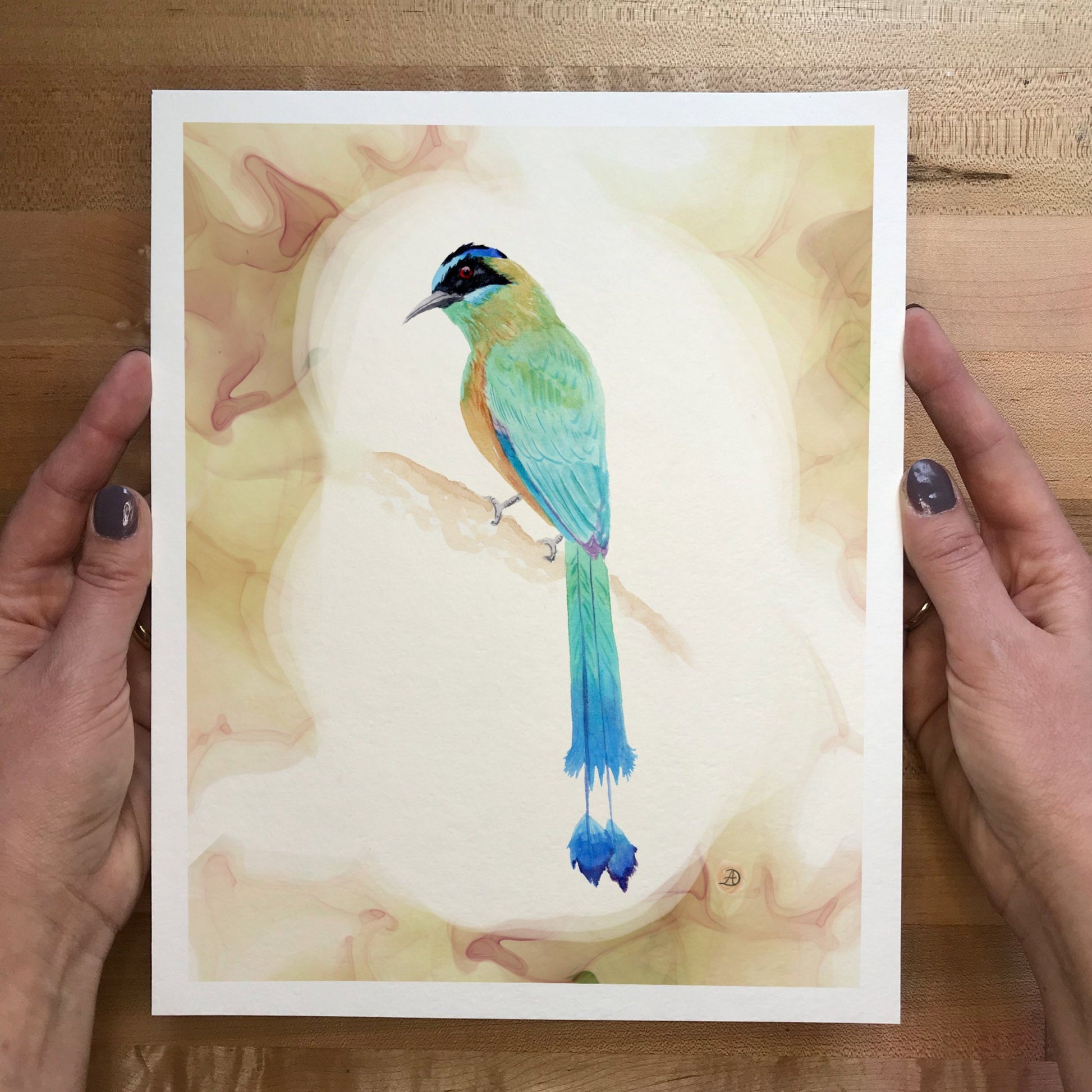 Amazonian Motmot Watercolor Art Print by Andreea Dumez