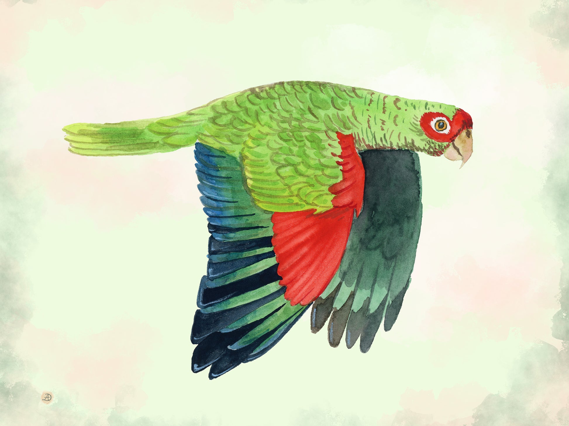 Red and green parrot painting by Andreea Dumez