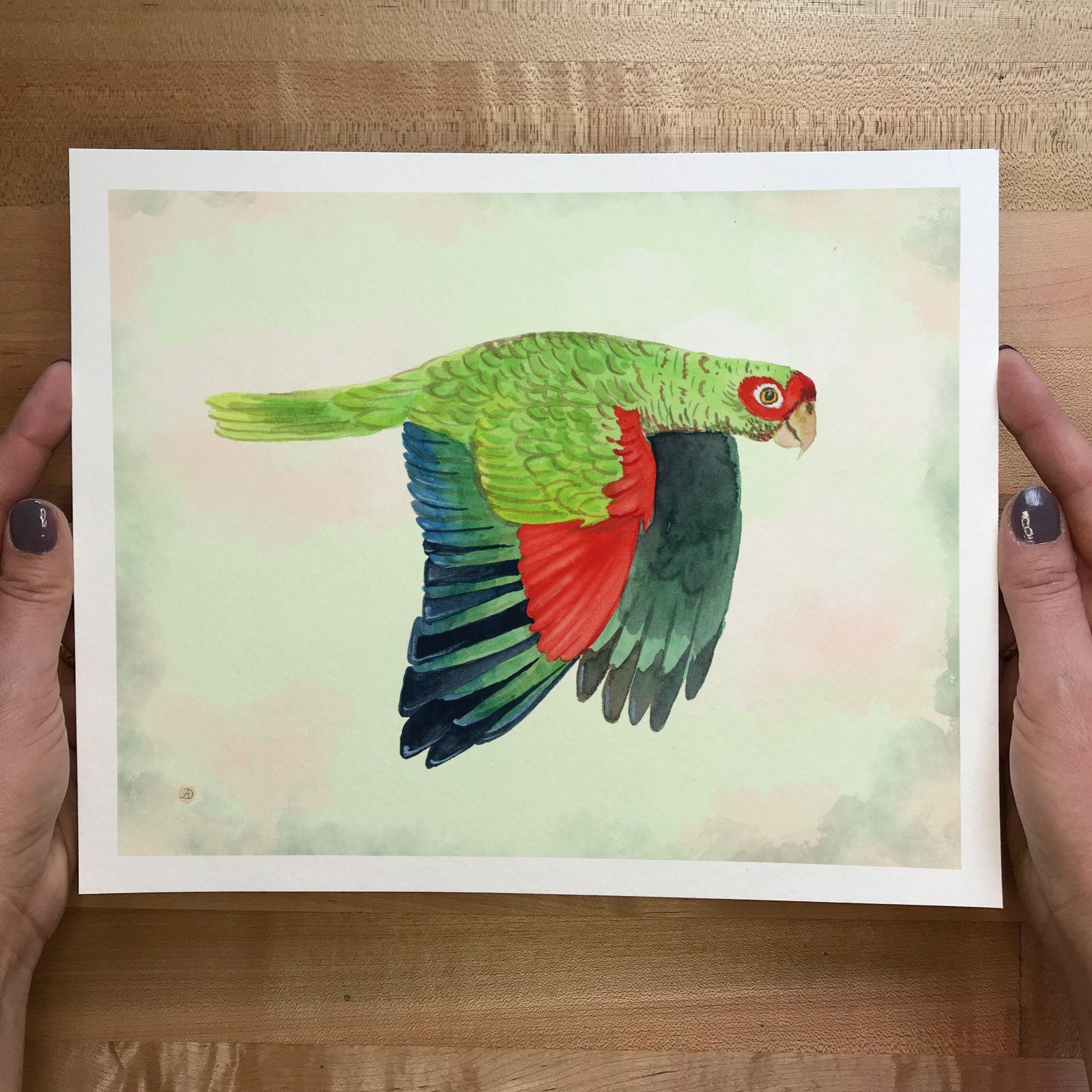 Red and green parrot painting by Andreea Dumez