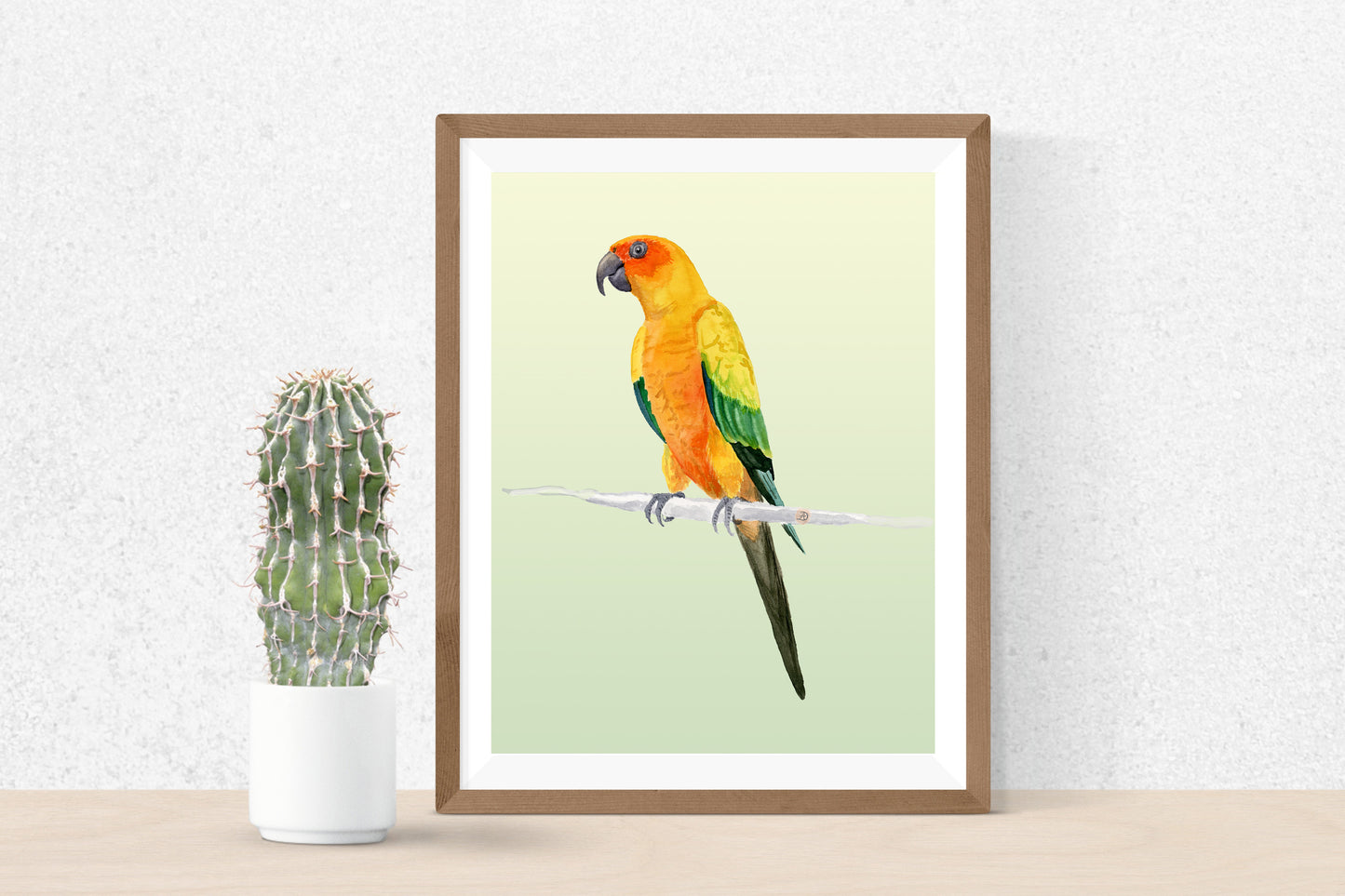 Sun Conure Parrot - Art Print