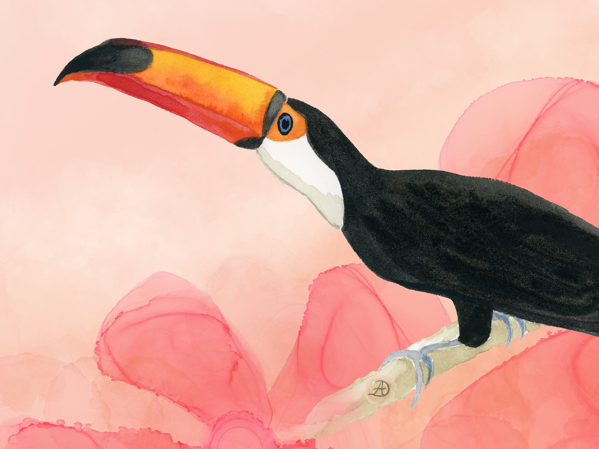 Toco toucan watercolor print