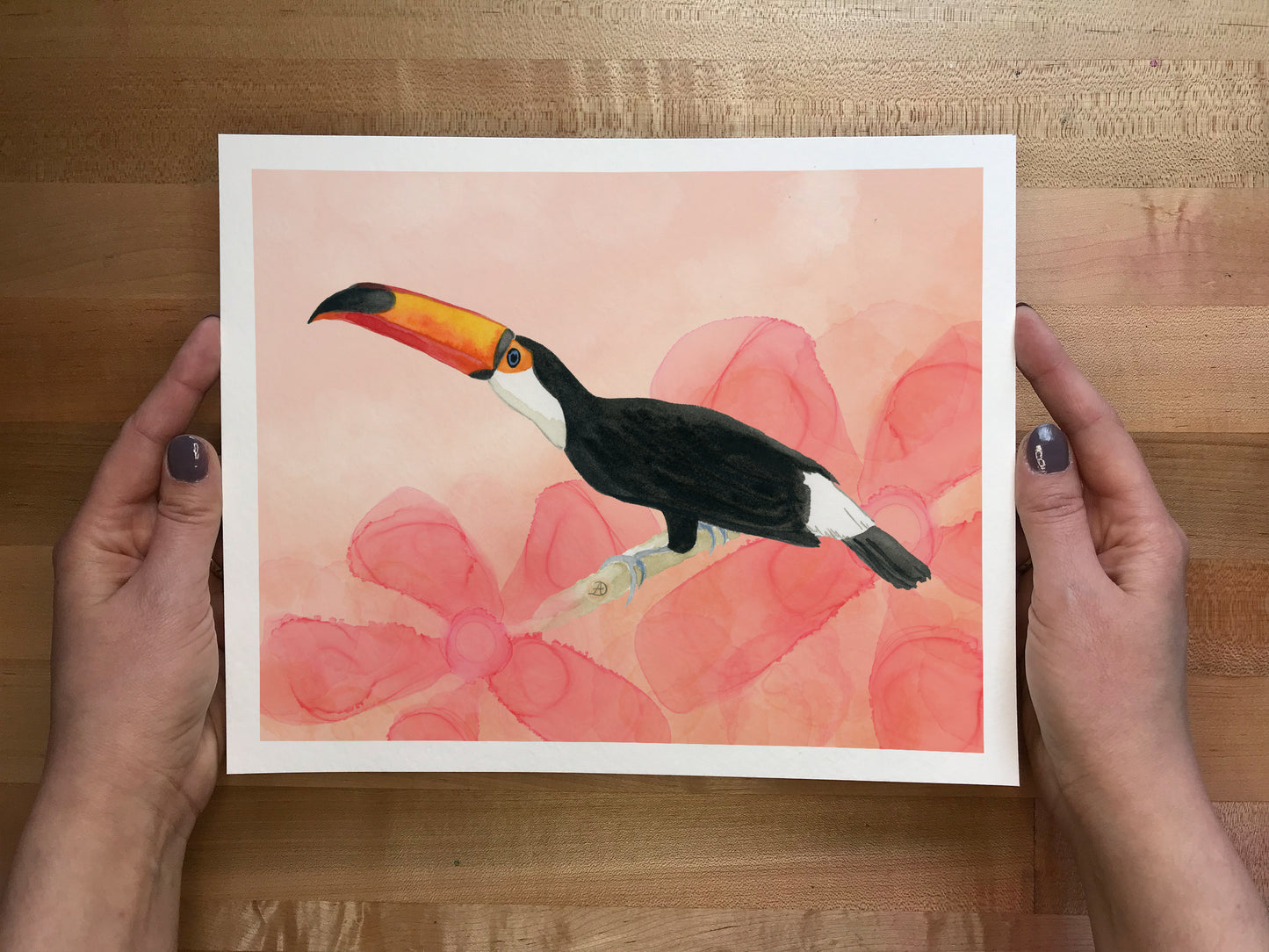 Toco Toucan - Art Print