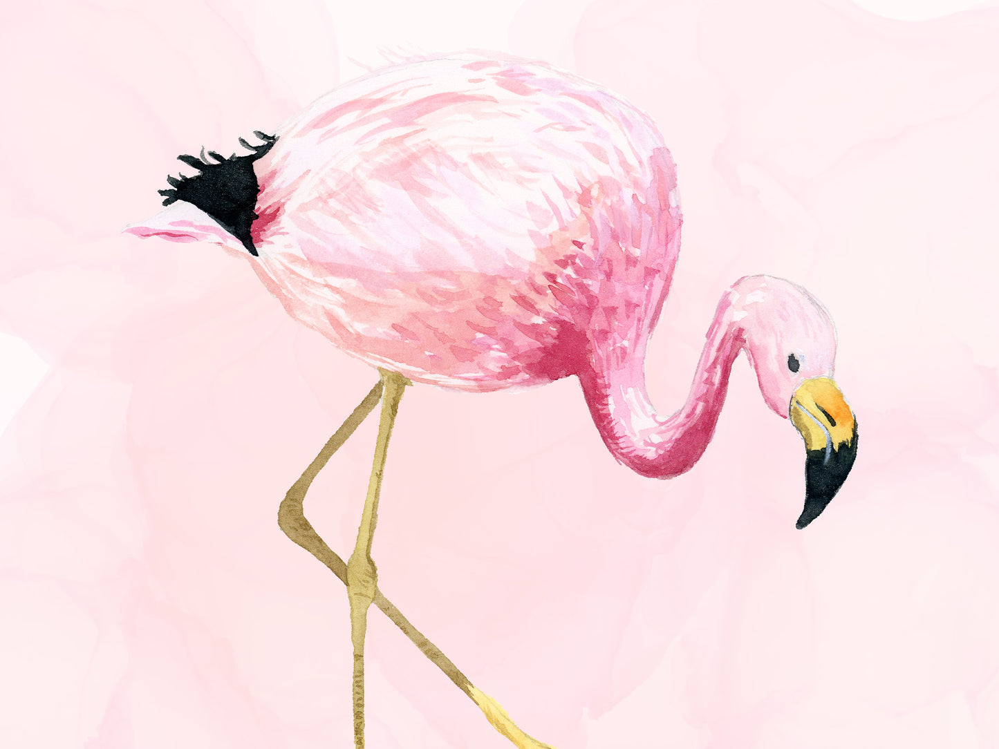 Andean Flamingo - Tropical Bird Art Print