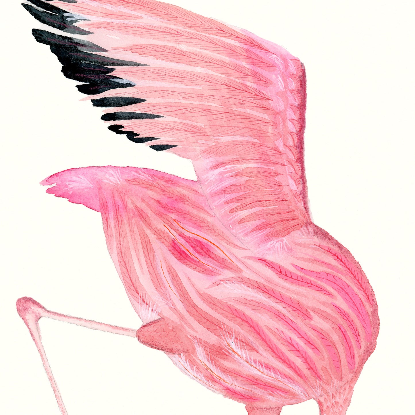 Flamingo Dance Part 3 - Art Print