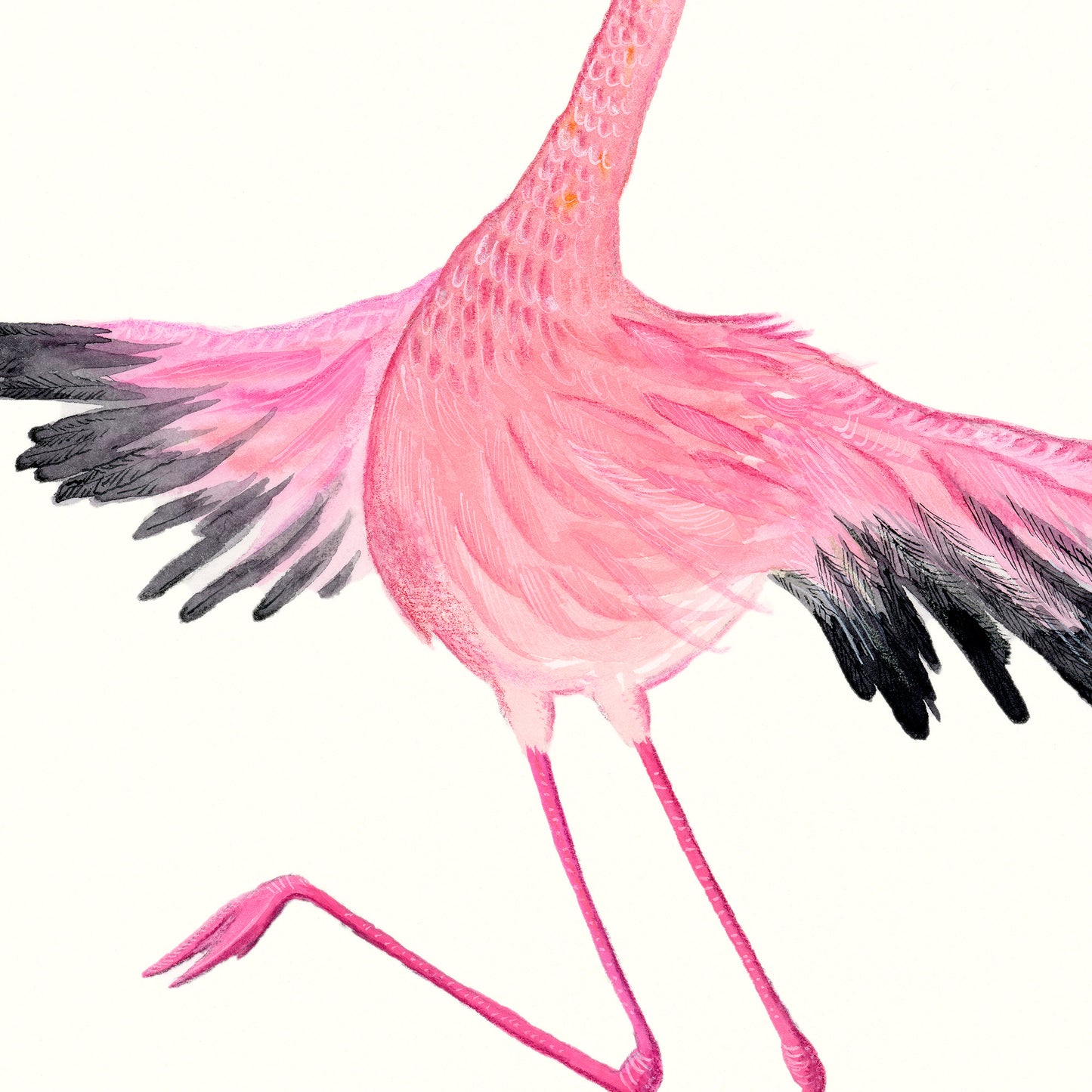 Flamingo Dance Part 2 - Art Print