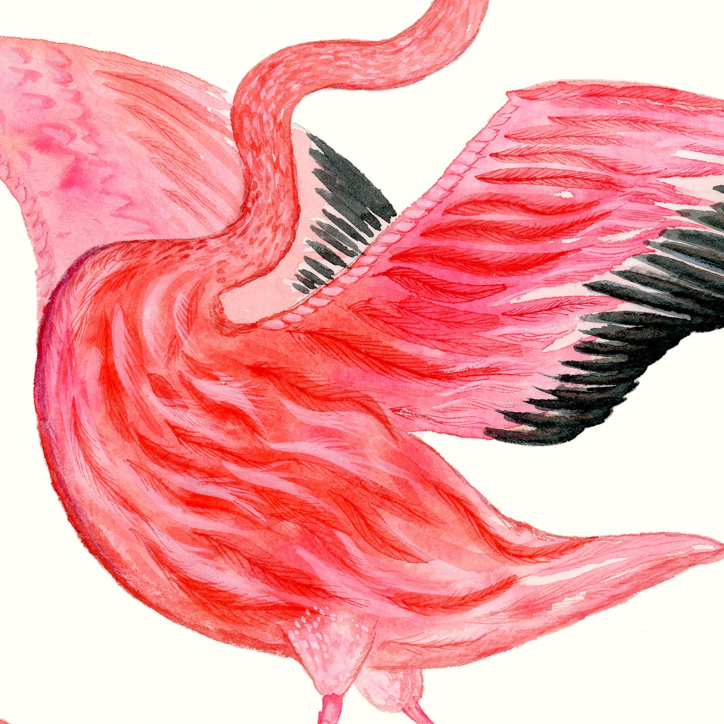 Flamingo Dance Part 4 - Art Print