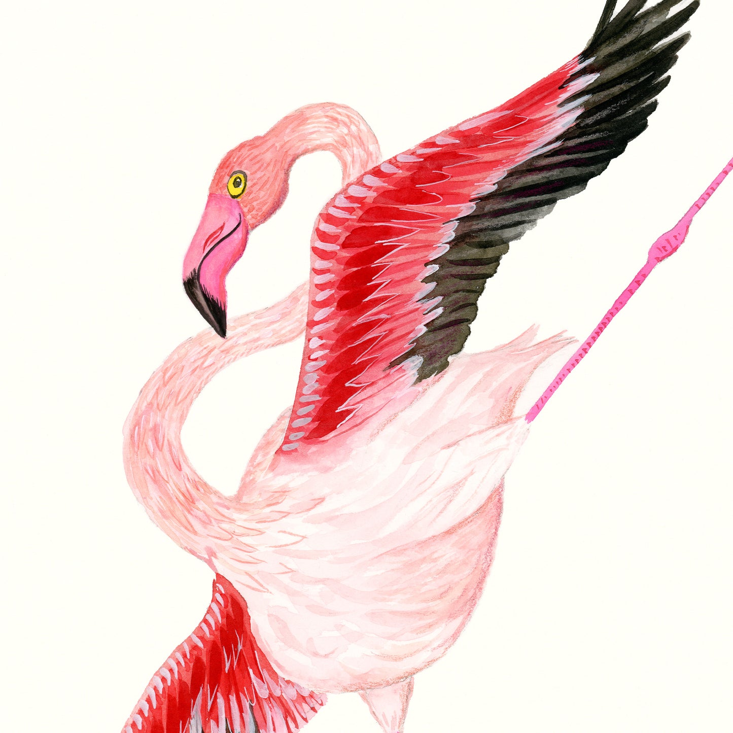 Flamingo Dance Part 1 - Art Print