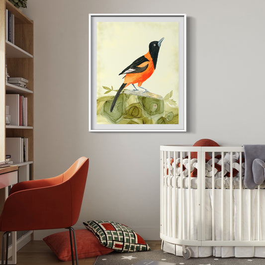 Campo Oriole - Bird Art Print