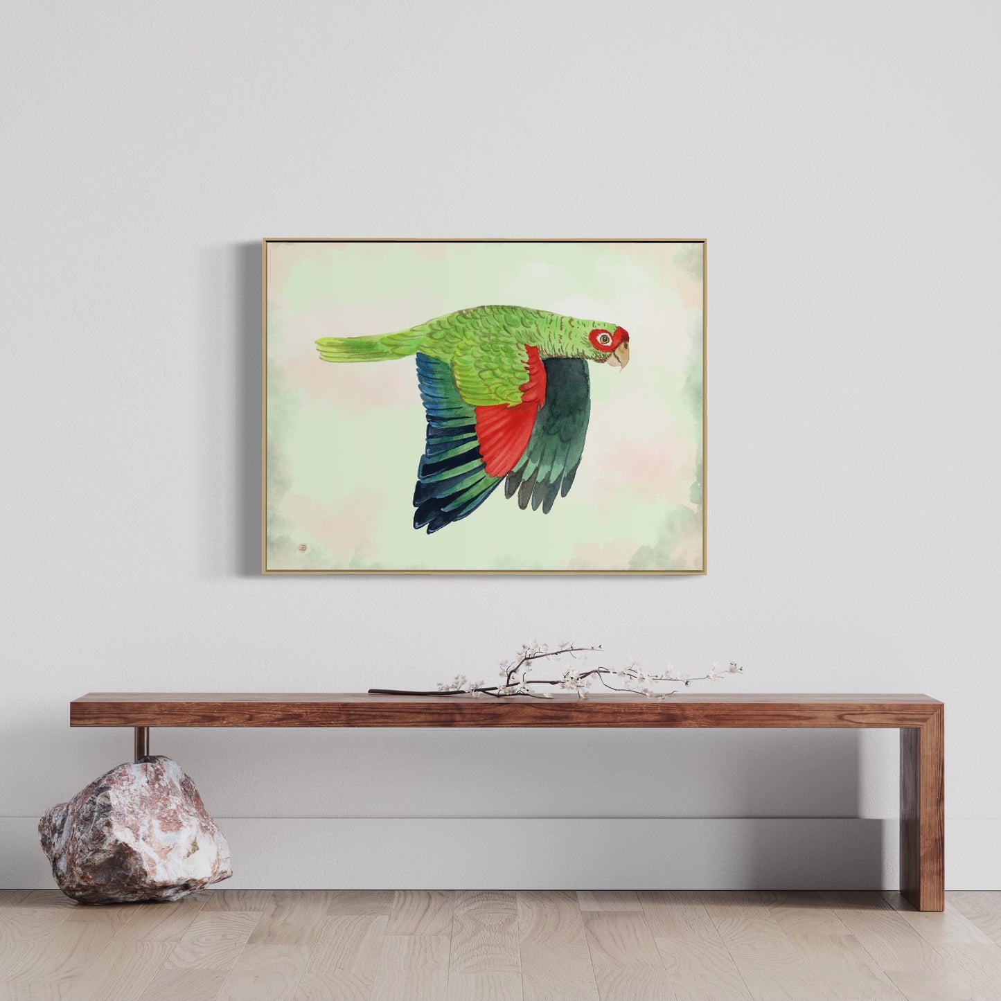 Red-spectacled Parrot - Art Print