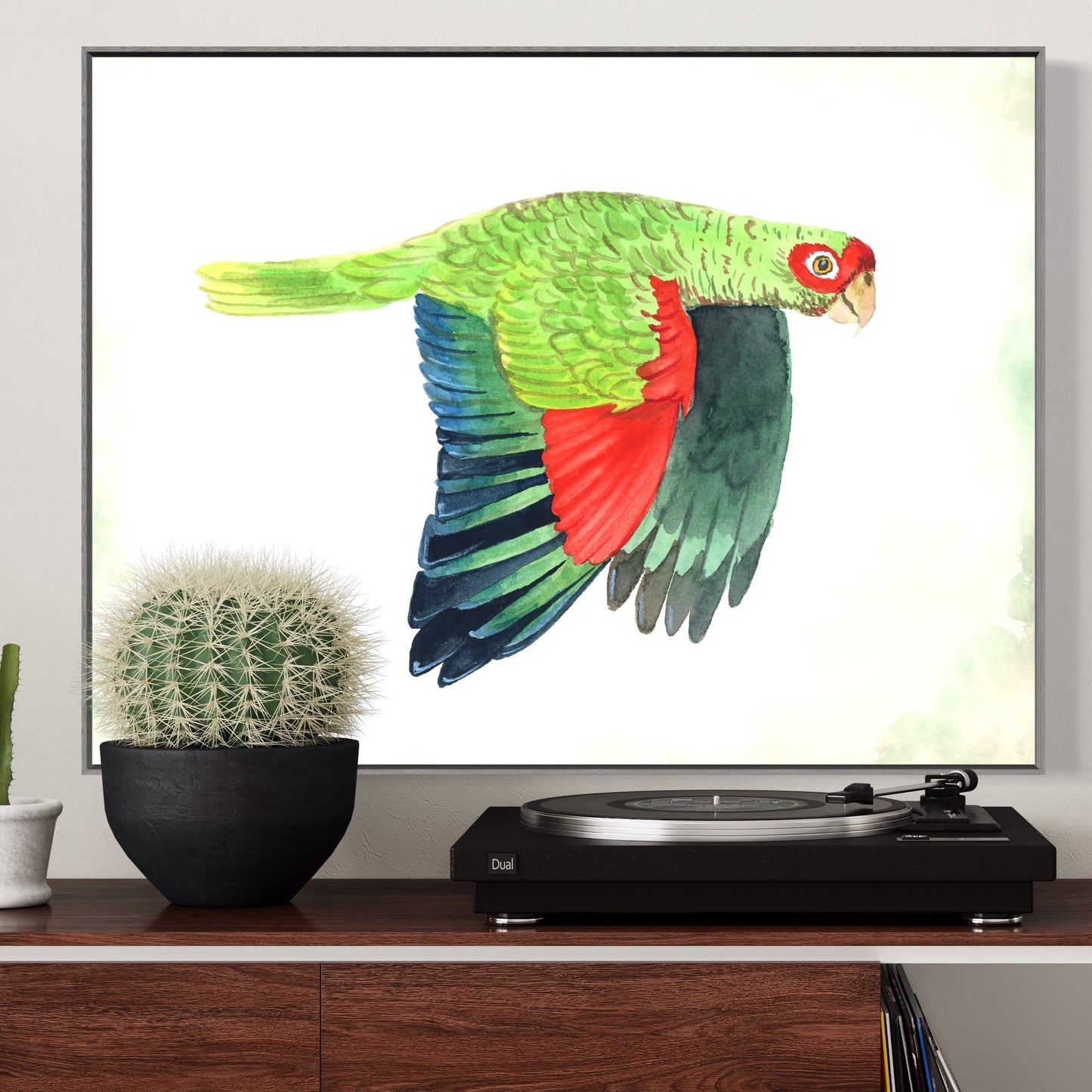 Red-spectacled Parrot - Art Print