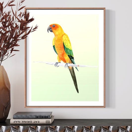 Sun Conure Parrot - Art Print