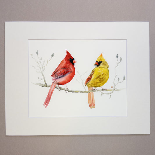 Two cardinals on a magnolia branch - watercolor painting art print