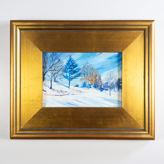 "Cross-country view" - original framed acrylic painting depicting a snowy hill and trees on a sunny day. By Andreea Dumez