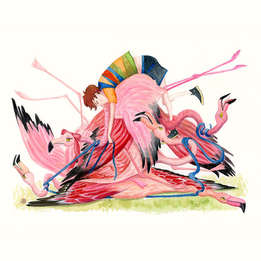 Funny Flamingos and a mischievous boy
