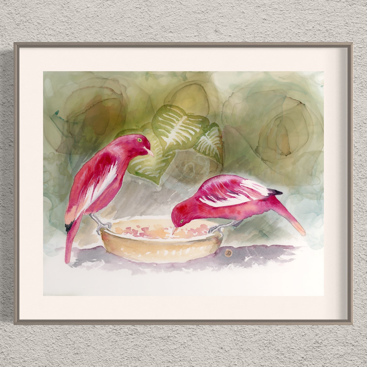 Pompadour Cotingas at the Bird Feeder - Art Print