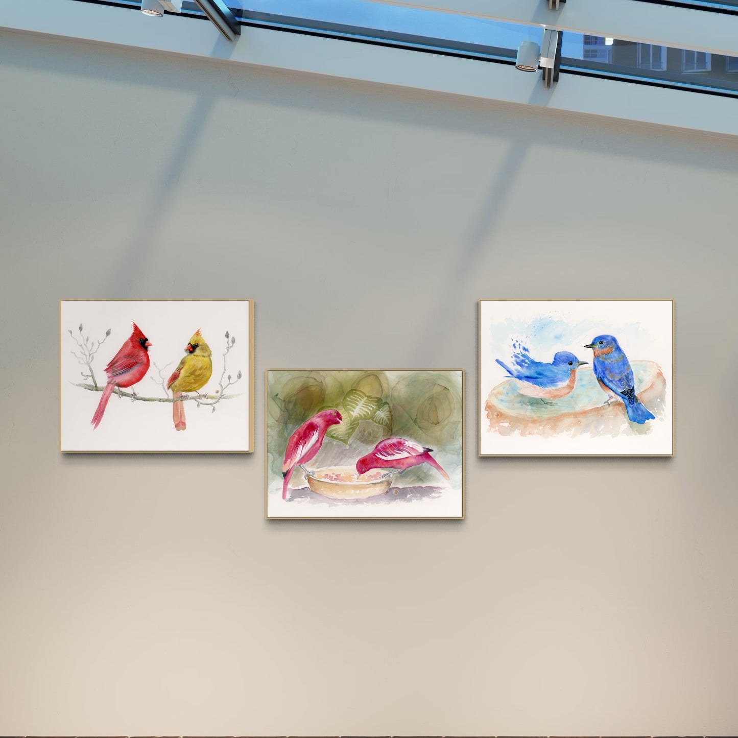 Cardinals, Bluebirds, Cotingas - Set of 3 Art Prints