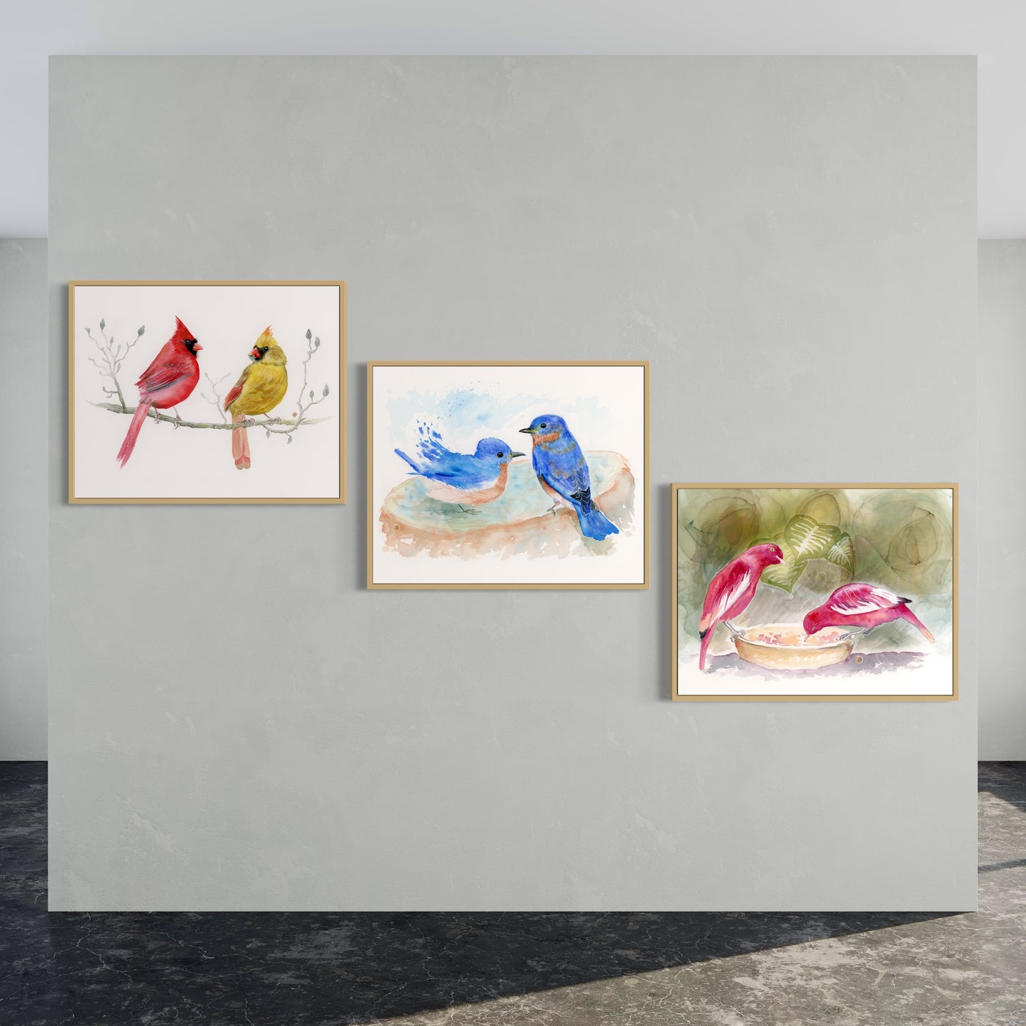 Cardinals, Bluebirds, Cotingas - Set of 3 Art Prints