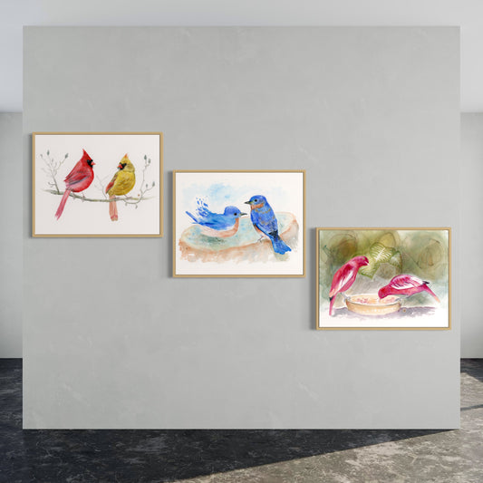 Cardinals, Bluebirds, Cotingas - Set of 3 Art Prints