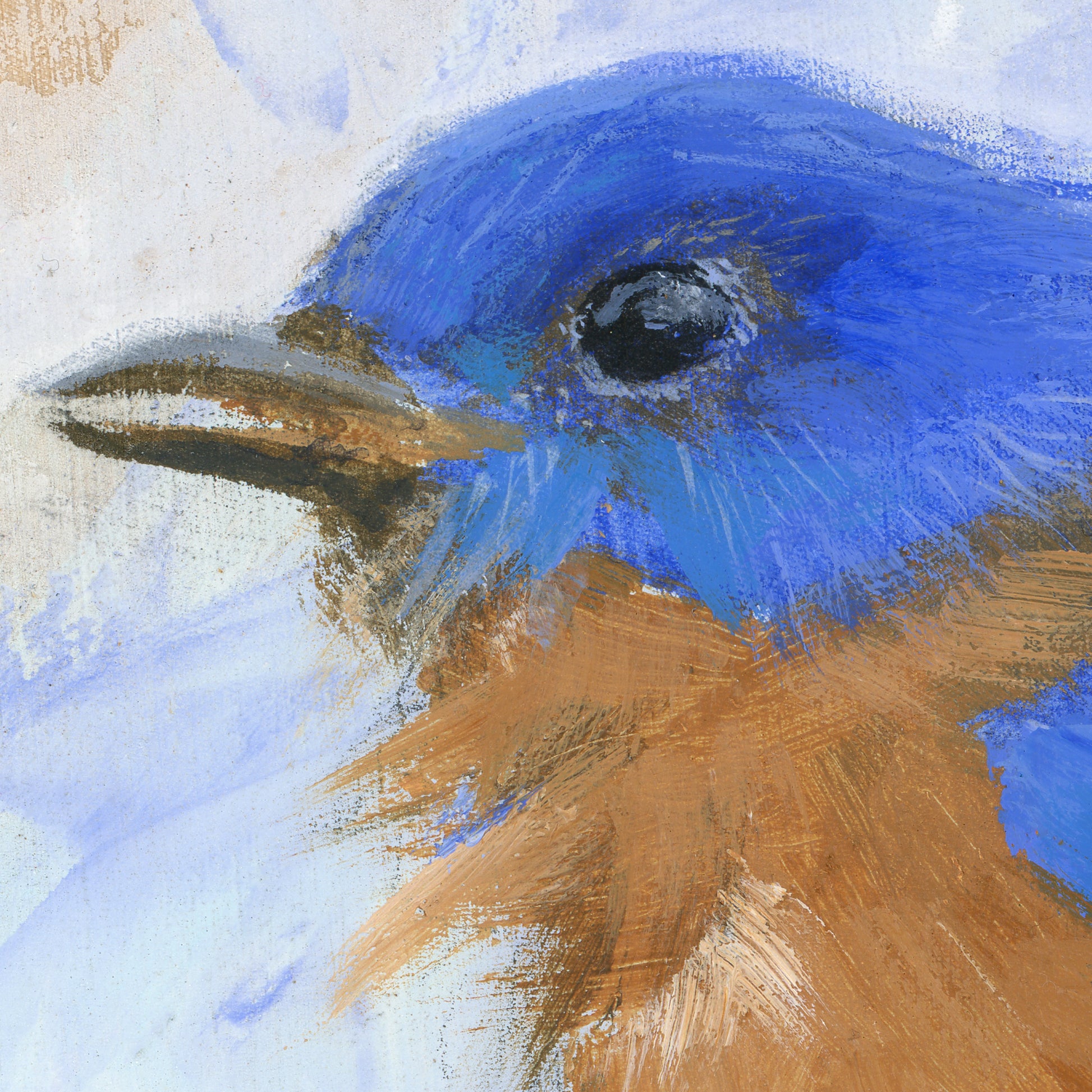 detail of Eastern Bluebird Original acrylic painting